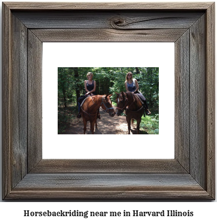 horseback riding near me in Harvard, Illinois